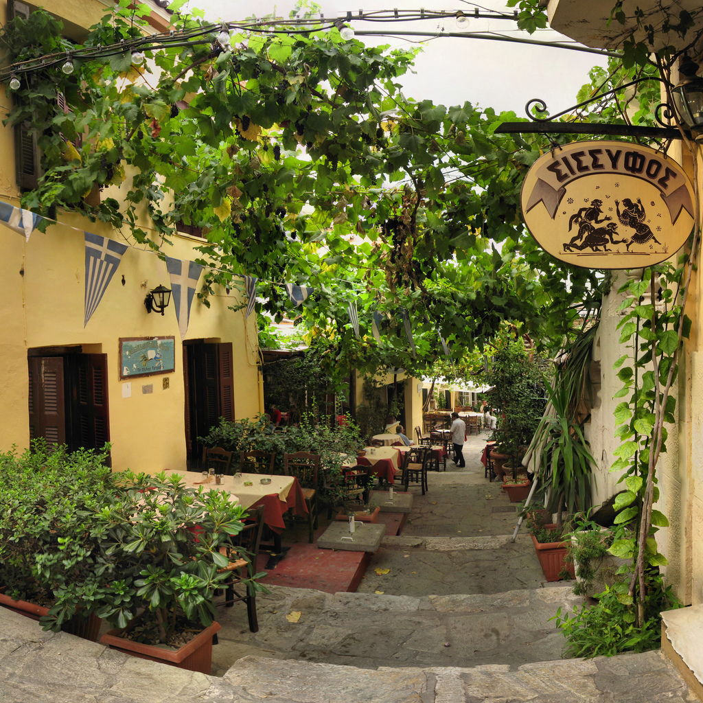 A vine covered street in Athens